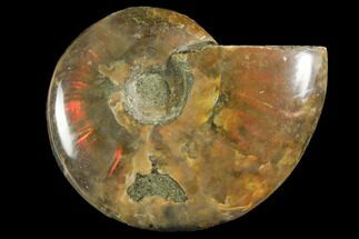 Red Flash Ammonite Fossil - Madagascar #151785