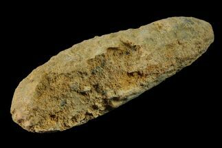 Bargain, 2.1" Agatized Seed Cone (Or Aggregate Fruit) - Morocco - Fossil #155038