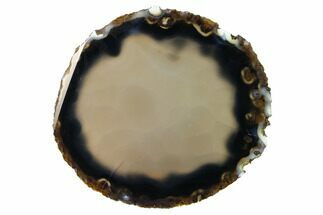6.2" Polished Brazilian Agate Slice - Crystal #156289