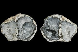Unusual, Las Choyas Coconut Geode with Quartz Crystals - Mexico #165389