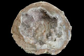 2.4" Las Choyas "Coconut" Geode Half with Amethyst Crystals - Mexico - Crystal #165560