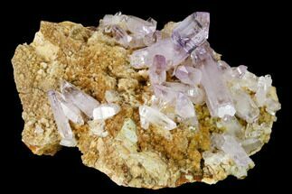 Gorgeous, Amethyst Crystal Cluster - Las Vigas, Mexico #165625