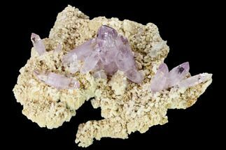 Stunning, Amethyst Crystal Cluster - Las Vigas, Mexico #165627