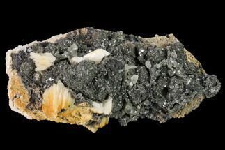 3.5" Cerussite Crystals with Bladed Barite on Galena - Morocco - Crystal #165736