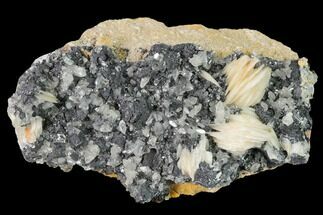 3.9" Cerussite Crystals with Bladed Barite on Galena - Morocco - Crystal #165741