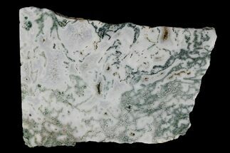 4.8" Polished Tree Agate Slab - India  - Crystal #167483