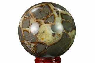 2.5" Polished Septarian Sphere - Utah - Crystal #167615