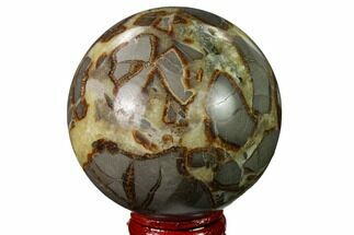 2.5" Crystal Filled, Polished Septarian Sphere - Utah - Crystal #167617