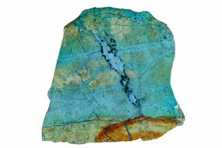 2.8" Polished Blue River Chrysocolla Slice - Arizona - Crystal #167546