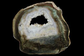 Petrified Wood (Woodworthia) Round With Crystal Pocket - Zimbabwe #167935
