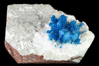 Vibrant Blue Cavansite Clusters on Stilbite & Mordenite - India - Crystal #168247