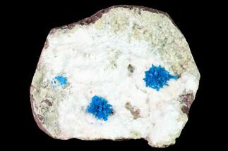 Vibrant Blue Cavansite Clusters on Stilbite & Mordenite - India - Crystal #168248