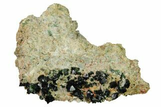 1.8" Deep-Green Libethenite Crystal Cluster - Crystal #169806