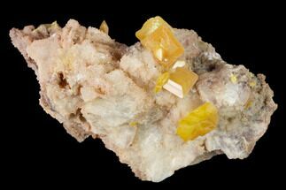 2.3" Orange Wulfenite Crystal Cluster - La Morita Mine, Mexico - Crystal #170317