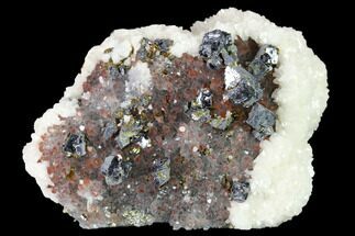 Hematite Quartz, Chalcopyrite, Galena & Pyrite Association #170247