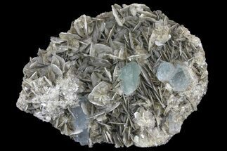 Aquamarine Crystals On Muscovite With Fluorite - Pakistan #170749