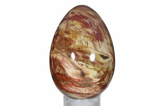 6.1" Colorful, Polished Petrified Wood Egg - Madagascar - Fossil #172535
