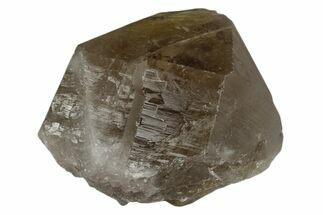 Rutilated Smoky Quartz Crystal - Brazil #173009