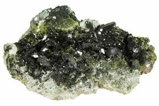 Lustrous, Epidote Crystal Cluster on Actinolite - Pakistan #164846