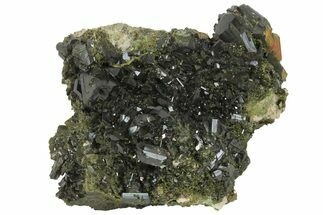 Lustrous, Epidote Crystal Cluster on Actinolite - Pakistan #164850