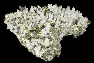 Pyrite, Chalcopyrite and Quartz Crystal Association - Peru #173319