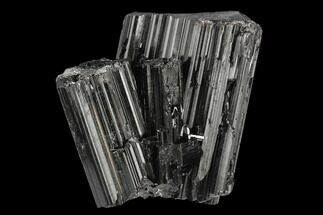 Black Tourmaline (Schorl) Crystal Cluster - Madagascar #174143