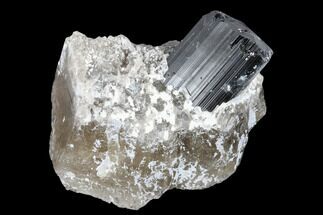 Terminated Schorl Crystal and Smoky Quartz Association - Madagascar #174124