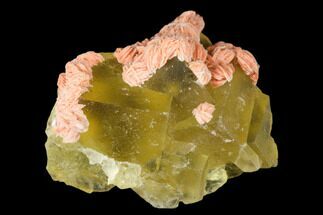 Yellow Cubic Fluorite Crystal Thumbnail Specimen - Morocco #173968
