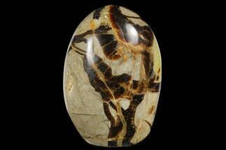 3.7" Free-Standing, Polished Septarian - Madagascar - Crystal #174596
