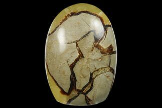 Free-Standing, Polished Septarian - Madagascar #174588