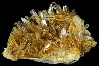 Honey Yellow Celestine (Celestite) Crystal Cluster - Poland #175409