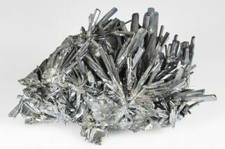 Metallic Stibnite Crystal Spray - Xikuangshan Mine, China #175902