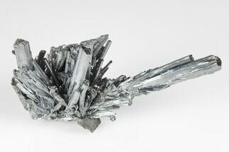 3.25" Metallic Stibnite Crystal Spray - Xikuangshan Mine, China - Crystal #175903