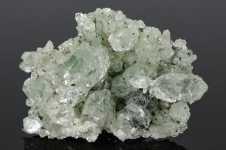 Anatase Crystals on Quartz with Chlorite Inclusions/Phantoms #176820