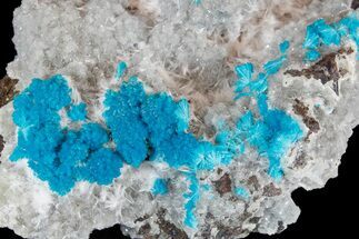 Vibrant Blue Cavansite Clusters on Stilbite & Mordenite - India #176800