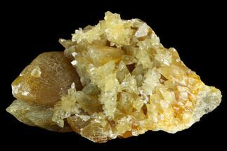 3.7" Amber-Yellow Calcite Crystal Cluster - Highly Fluorescent! - Crystal #177293