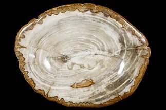 Petrified Wood Dish - Indonesia #176232