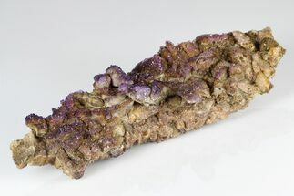 Calcite Crystal Cluster with Purple Fluorite (New Find) - China #177661