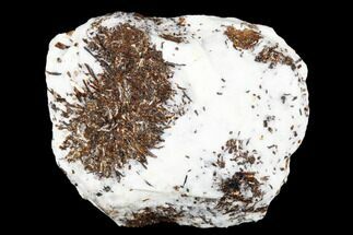 Golden-Brown, Radiating Astrophyllite - Kola Peninsula, Russia #179140