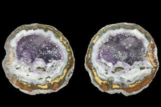 Las Choyas Coconut Geode with Amethyst & Calcite - Mexico #180577
