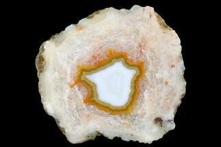 2.5" Polished Agate Nodule Half - Agouim, Morocco - Crystal #180715