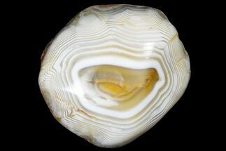 Polished Banded Agate - Kerrouchen, Morocco #181055