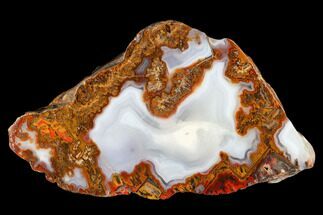 Colorful, Polished Agate Section - Kerrouchen, Morocco #181320