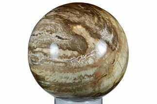 5.8" Petrified Wood (Araucaria) Sphere - Madagascar - Fossil #182595