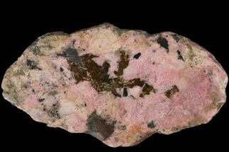 6.1" Polished Cobaltoan Calcite Slab - Congo - Crystal #184044
