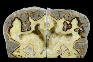 5.5" Crystal Filled Septarian Geode Bookends - Utah - Crystal #184589