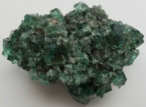 Fluorescent Green Fluorite Cluster - Rogerley Mine, England #184717