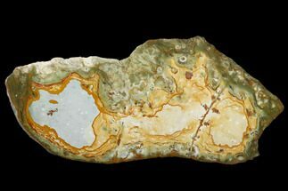 14" Polished, Rocky Butte Picture Jasper Slab - Oregon - Crystal #184709