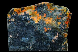 3.7" Polished Trent Agate With Stibnite & Realgar - Oregon - Crystal #184755
