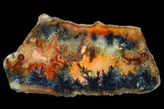 Polished Trent Agate With Stibnite & Realgar - Oregon #184758